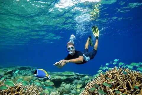 Snorkeling in Maldives Corals